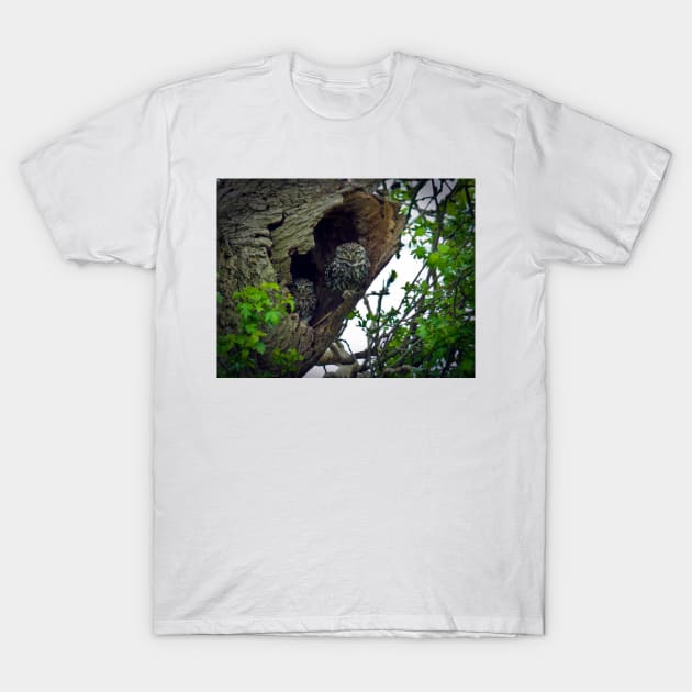 Little Owls on the nest T-Shirt by GrahamCSmith